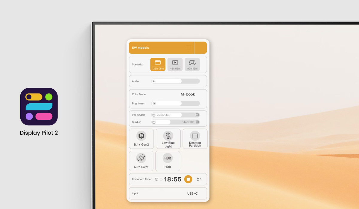 Display Pilot 2
